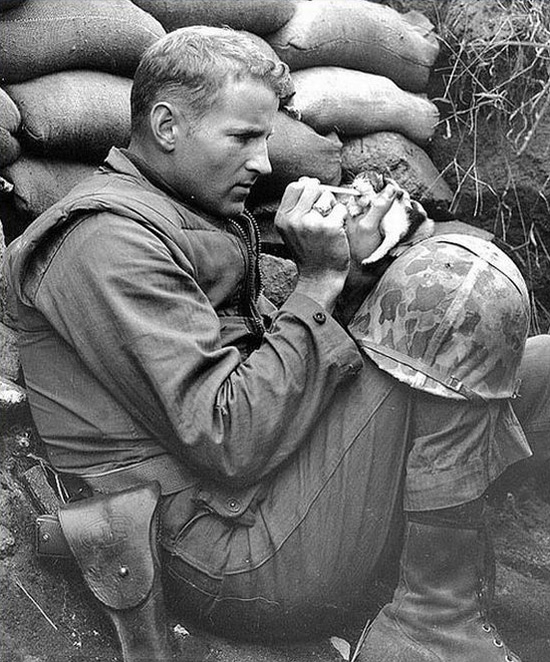 Soldier Feeds Kitten