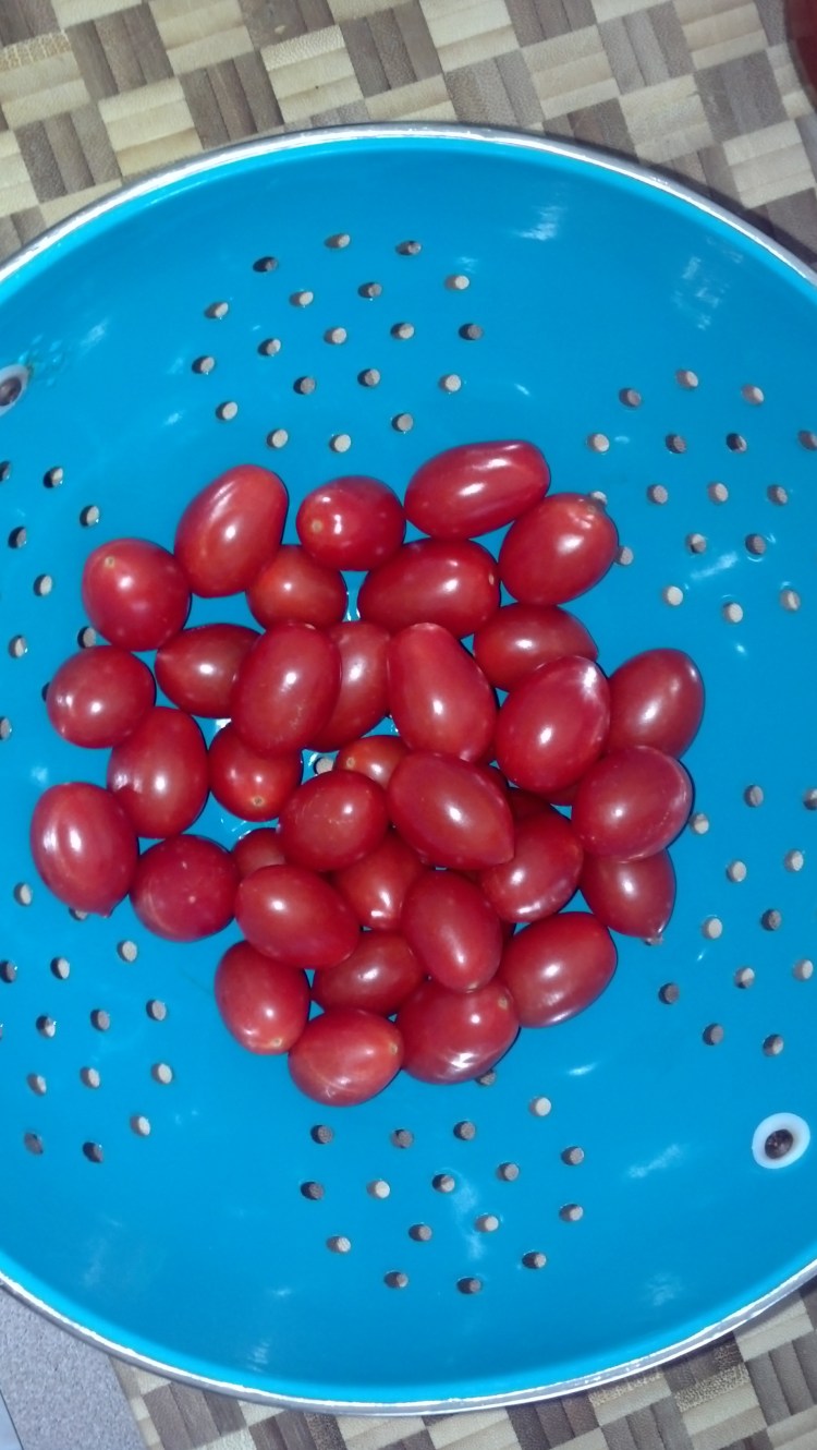 tomatoes are just so delectable!