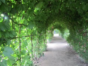 38071_536805515965_5501166_n