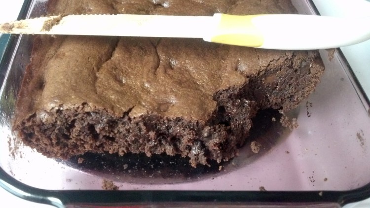 Gooey, Fudgey, Chocolatey BROWNIES