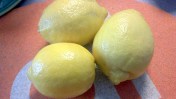 Attempting the Lemon Madeleine