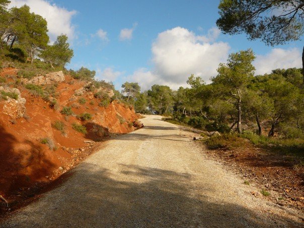 55_503174248295_3844_n