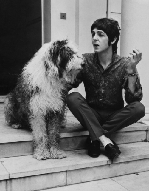 paul_mccartney_dog_martha_1960