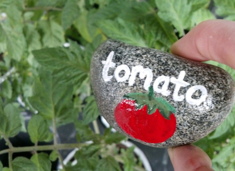 my favorite fruit and vegetable