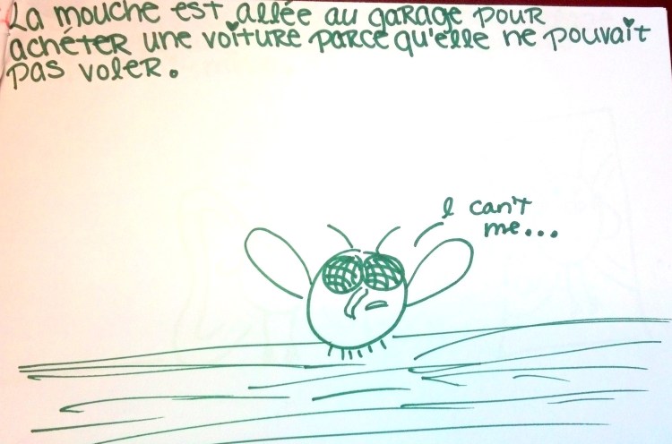 GET IT? IT'S A FLY!!!