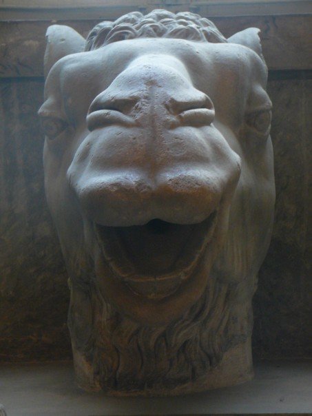 Llama in the VATICAN!