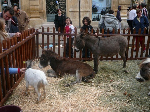 47_503172995805_1371_n