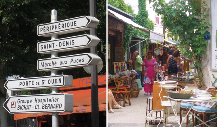 puces - a glimpse of what it's like