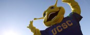 banana slug mascot