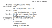 Petey the Petrel's Profile