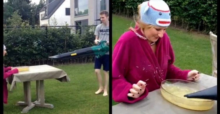 leafblower in a nutshell