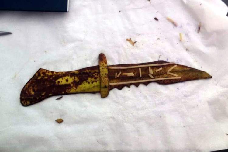 received_10204566404547575